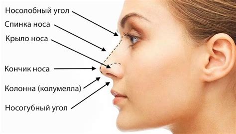 Возможные причины побеления кончика носа