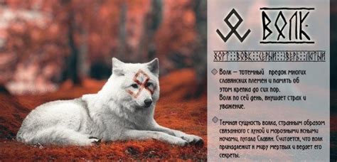 Волк как символ власти