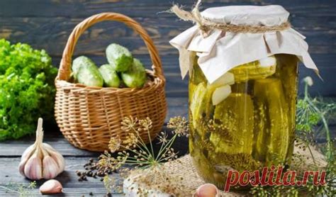 Выбор и подготовка огурцов для припущения