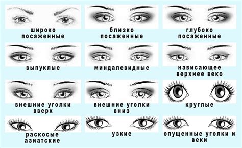 Выражение "глаз не смыкал" в литературе