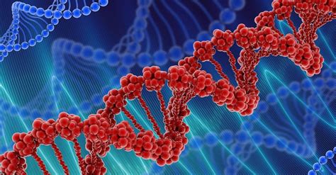 Генетическая предрасположенность