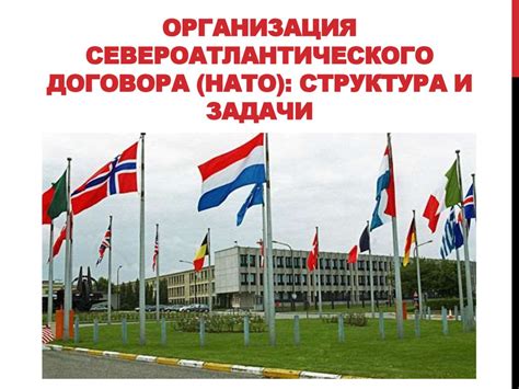 Задачи чистильщика рода в современном мире