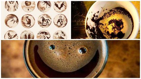 Зайцы в кофейной гуще: польза и вред