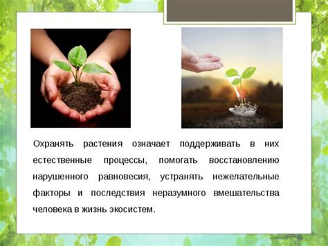 Зачем мы должны охранять растения: 5 ключевых причин и важность сохранения растительного мира