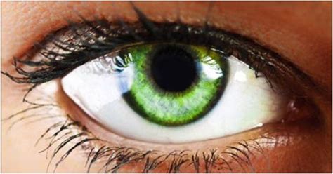 Зеленые глаза и их символическое значение