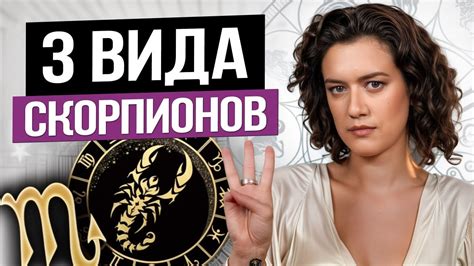 Знак смерти у скорпионов: тайны символов на их теле