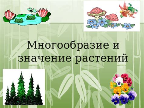 Значение и значение