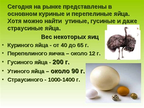 Значение куриного яйца