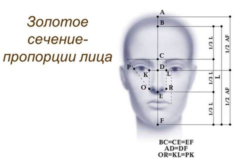 Значение плоского лица в эстетической культуре