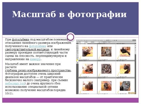 Значение размера F в фотографии