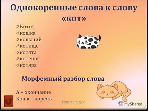 Значение слова "котик"
