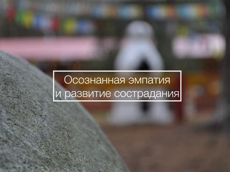 Значение эмпатии и сострадания в сообществе