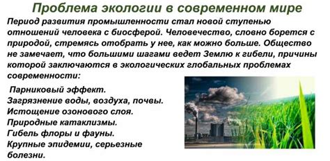Значимость экологии в современном мире