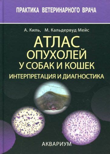 Интерпретация и расшифровка пометок собак