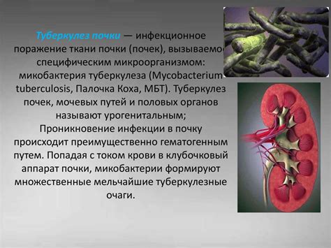 Инфекционное поражение