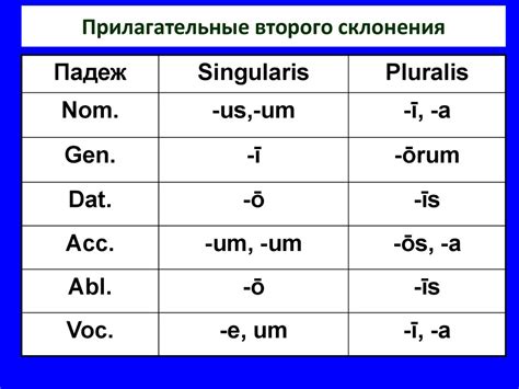 Исключения из правила о согласовании прилагательных в латинском языке