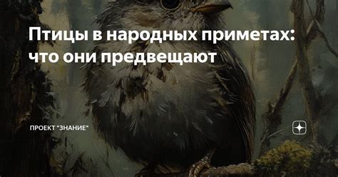 Использование фразы в народных приметах