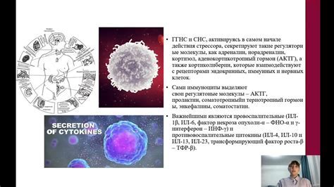 Использование частоты 528 герц в медицине