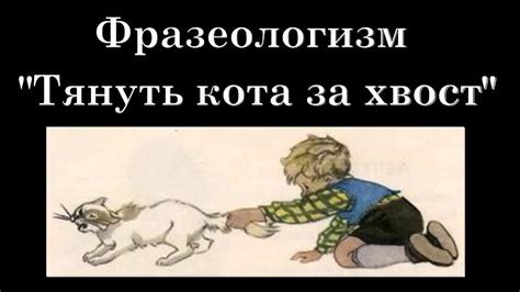 История использования выражения "тянуть кота за хвост"