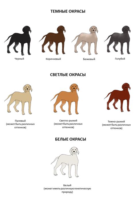 Какие породы собак имеют чепрачный окрас