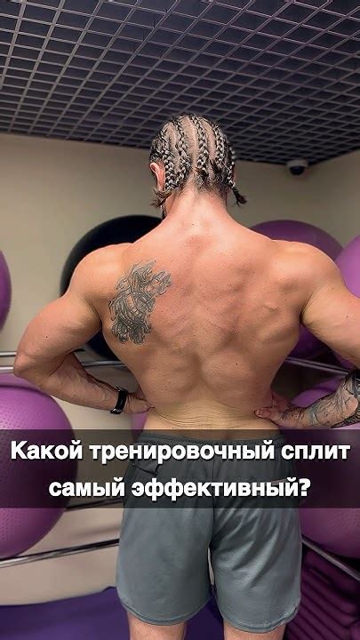 Какой лучше выбрать тренировочный комплекс