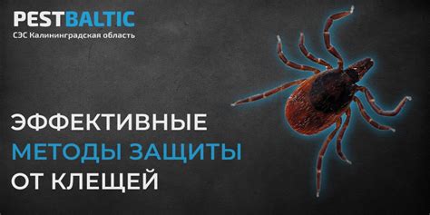 Как избежать "нецелесообразно" и применить эффективные методы