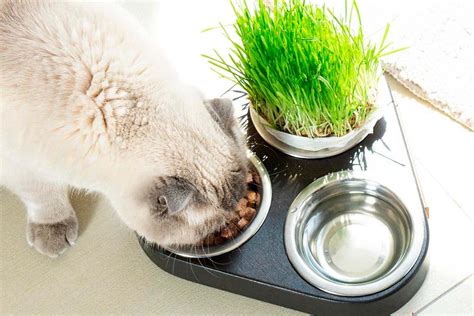 Как избежать "шараебиться" и сохранить баланс