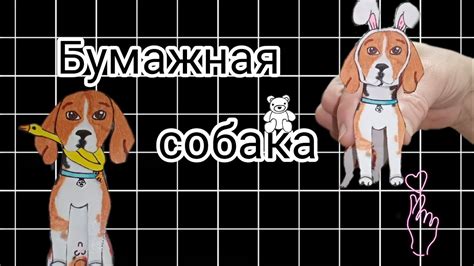 Как можно использовать информацию из пометы собаки