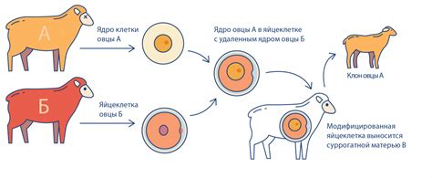 Как происходит эксплуатация животных в сельском хозяйстве