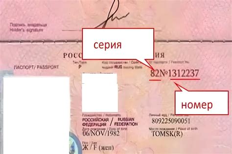 Как прочитать номер ОРВ