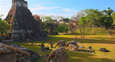 Кит в древних цивилизациях