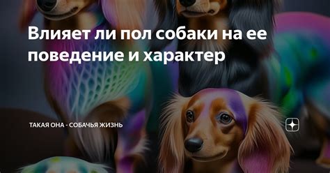 Кличка Лаки и ее влияние на характер собаки