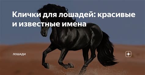 Кличка Симба: значения и происхождение