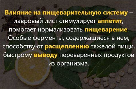 Круча в народной медицине и суевериях