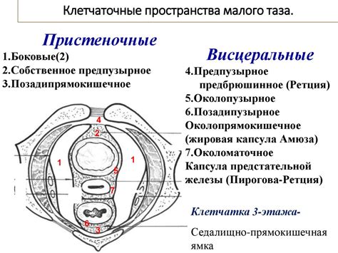 Куколдеры и их роль