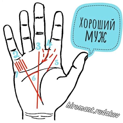 Линии под мизинцем: