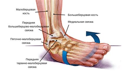 Медицинское лечение отстегивания ноги