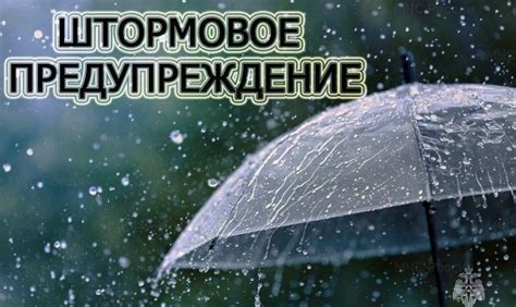 Меры безопасности во время шторма