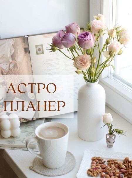 Месяц ноябрь для парней: особенности и традиции