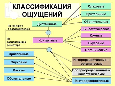Механизмы возникновения необычного ощущения