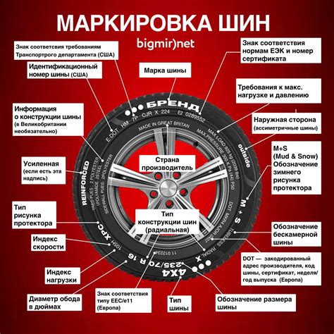Модель шины: понятие и значение