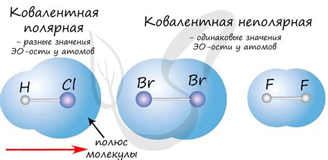 Наименее полярная связь: определение и примеры