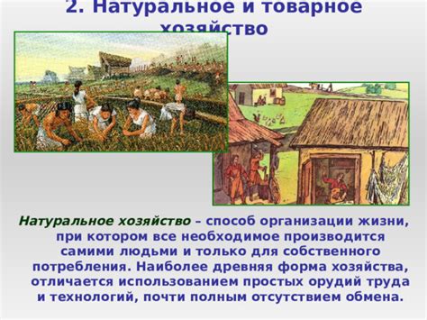 Натуральное хозяйство: история и значение для 6 класса