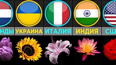 Национальные цвета страны