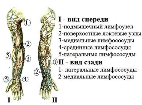 Неправильное расположение манжетки на руке