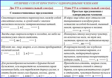 Образец схемы предложения 5 класса