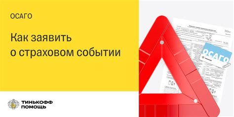 Общая информация о европротоколе