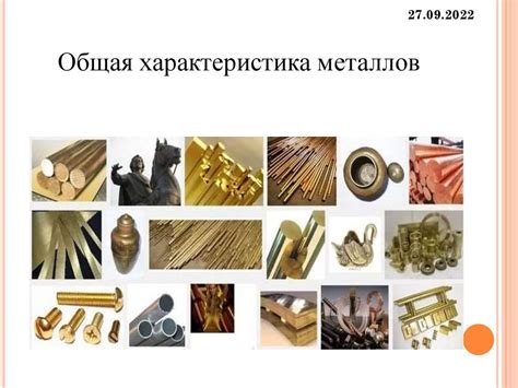 Общая характеристика: энергичная и инициативная