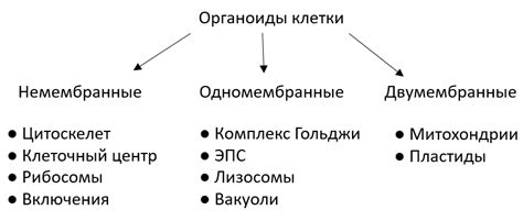 Определение и типы мимолетных встреч