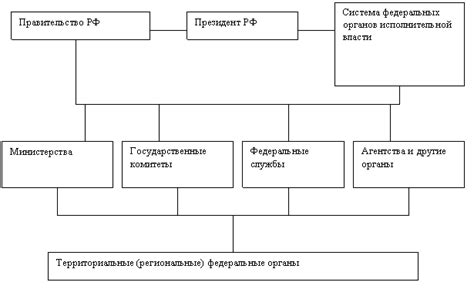 Организация публичной власти в современном мире